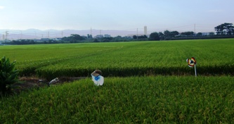 f:id:adayasu:20100919202608j:image:left