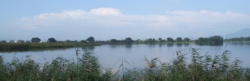 f:id:adayasu:20100919202901j:image:left