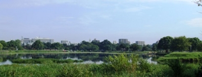 f:id:adayasu:20100919203702j:image:left