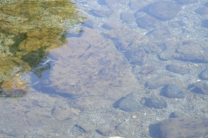 f:id:adayasu:20100919204117j:image:left