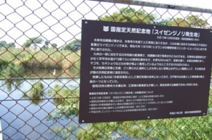 f:id:adayasu:20100919204358j:image:left