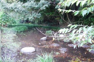 f:id:adayasu:20100919204653j:image:left