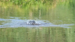 f:id:adayasu:20100919204746j:image:left