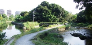 f:id:adayasu:20100919204848j:image:left