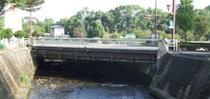 f:id:adayasu:20100919205243j:image:left
