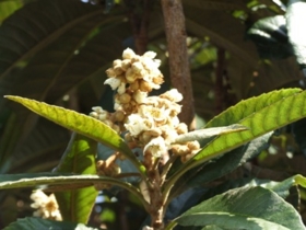 f:id:adayasu:20101223222909j:image:right