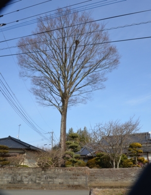 f:id:adayasu:20110123112621j:image:left