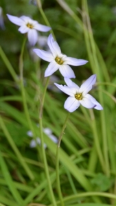 f:id:adayasu:20110416144722j:image:left