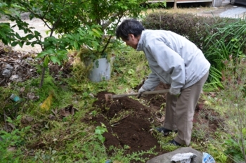 f:id:adayasu:20110430085444j:image:left