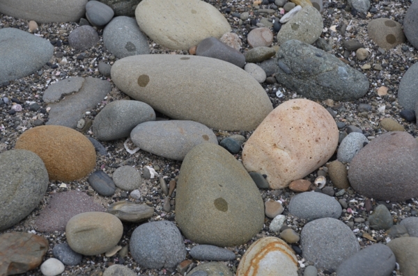 f:id:adayasu:20110503112324j:image