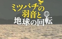 f:id:adayasu:20110526184158j:image:left f:id:adayasu:20110526184158j:image:left