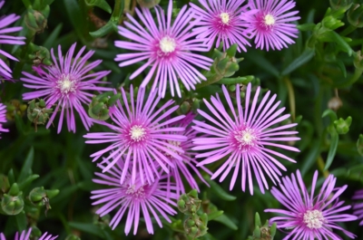 f:id:adayasu:20110713100512j:image:left