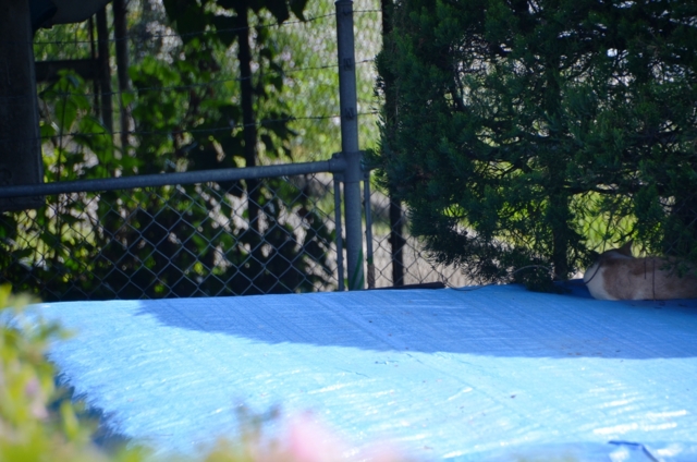 f:id:adayasu:20120417085814j:image