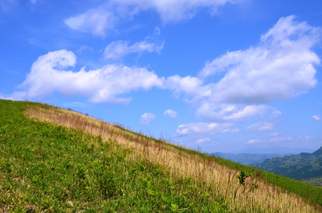 f:id:adayasu:20120504141741j:image