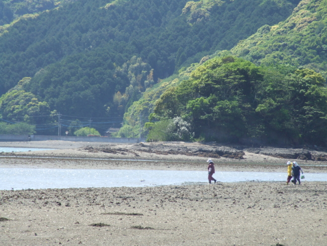 f:id:adayasu:20120505135922j:image:w350:left