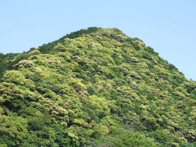 f:id:adayasu:20120505141308j:image f:id:adayasu:20120505141308j:image