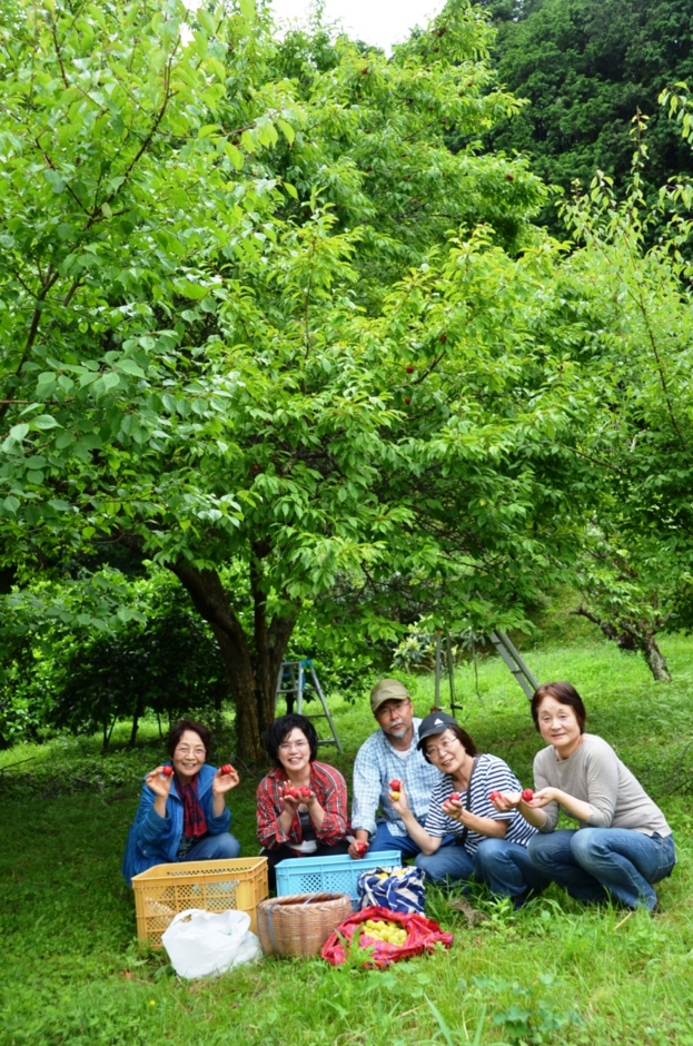 f:id:adayasu:20120617141535j:image f:id:adayasu:20120617141535j:image