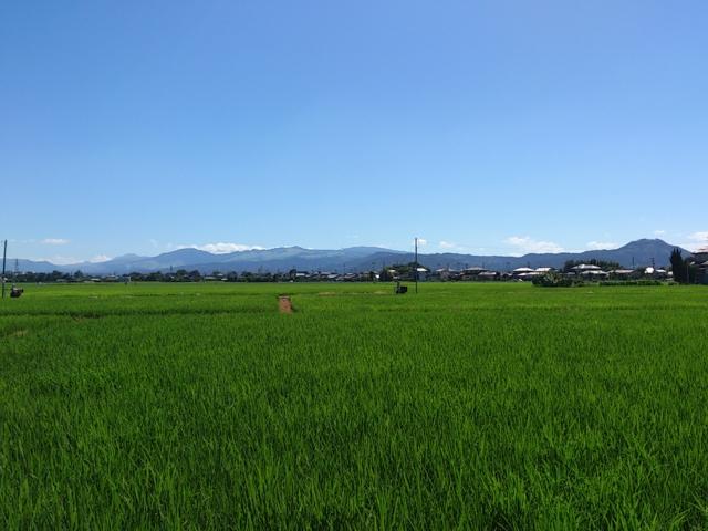 f:id:adayasu:20120731095223j:image
