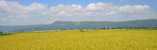 f:id:adayasu:20120831122240j:image f:id:adayasu:20120831122240j:image