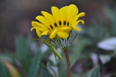 f:id:adayasu:20121004140423j:image:right