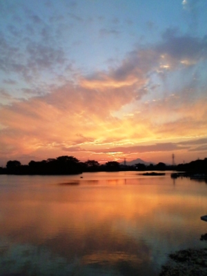 f:id:adayasu:20121008175434j:image:left