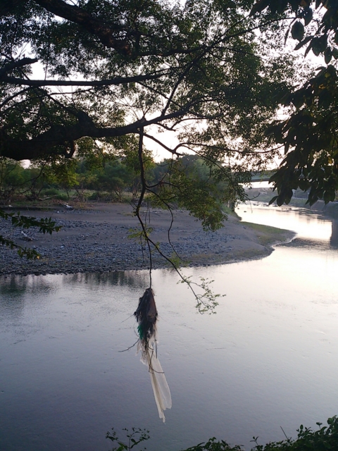 f:id:adayasu:20121011171221j:image:w400:left