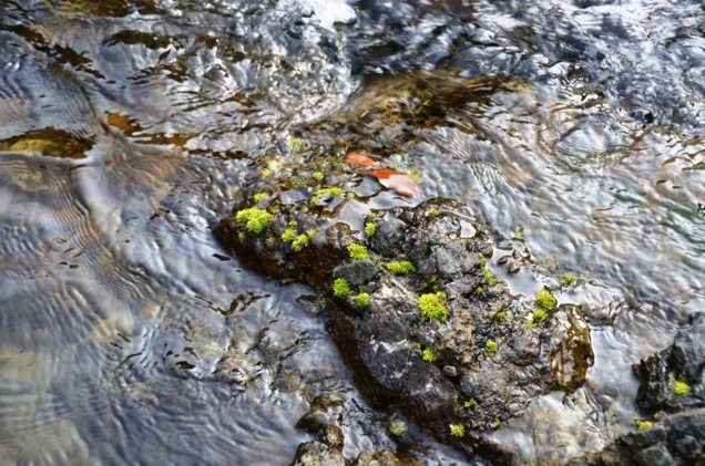 f:id:adayasu:20121021150657j:image:left
