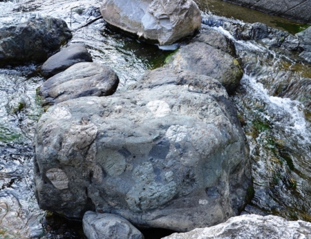 f:id:adayasu:20121021151312j:image:left