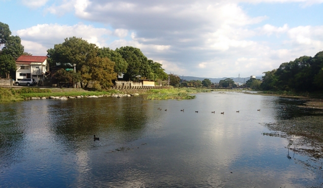 f:id:adayasu:20121101135430j:image
