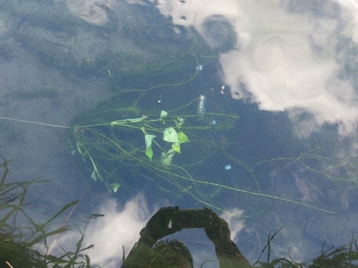 f:id:adayasu:20121101135458j:image:right