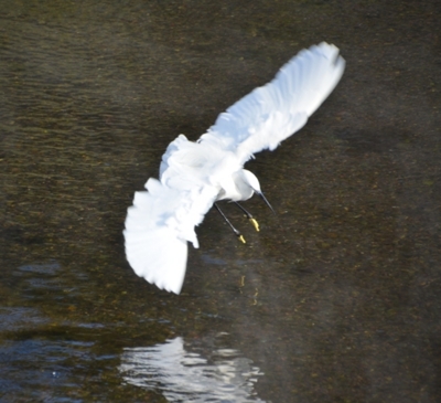 f:id:adayasu:20130104092841j:image:w450:left