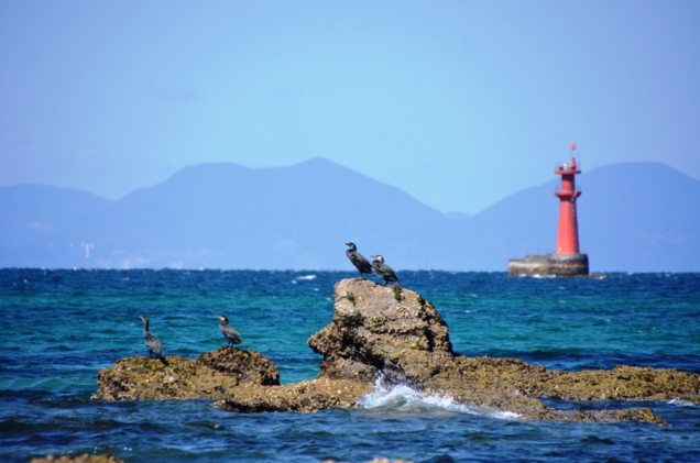 f:id:adayasu:20130223125752j:image