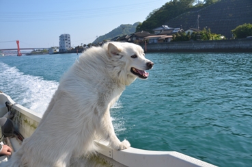 f:id:adayasu:20130506082326j:image:right f:id:adayasu:20130506082326j:image:right