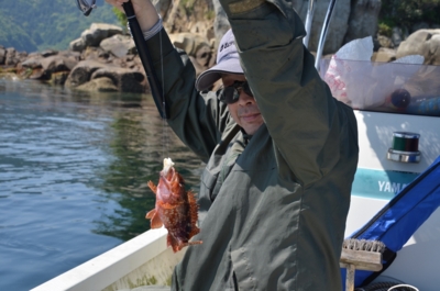 f:id:adayasu:20130506101514j:image:left