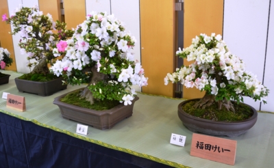 f:id:adayasu:20130526103614j:image:right