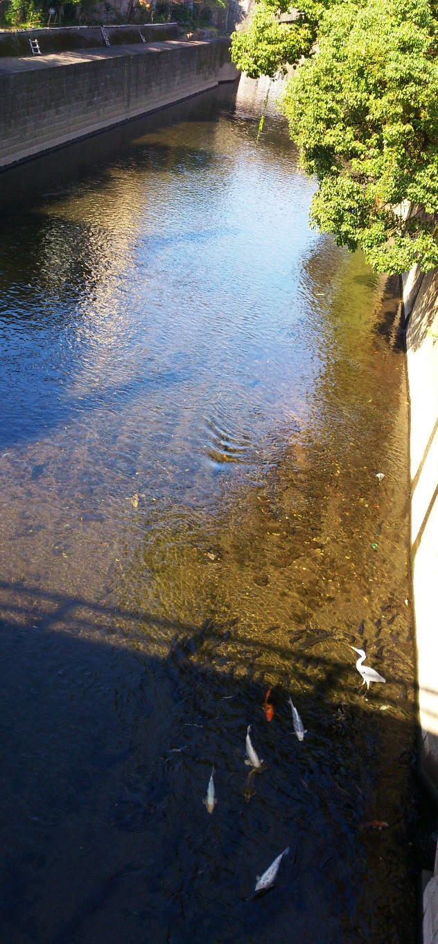 f:id:adayasu:20131030094715j:image