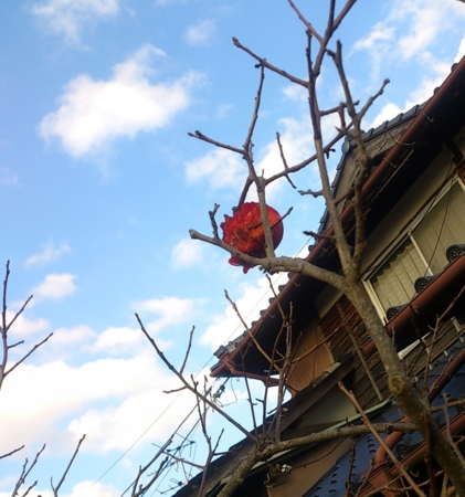 f:id:adayasu:20131219153923j:image:left