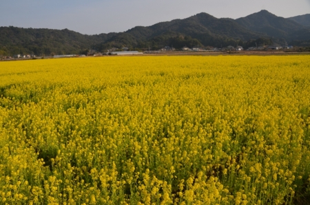 f:id:adayasu:20140106151026j:image:left