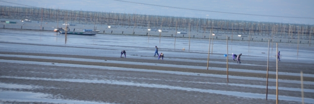 f:id:adayasu:20140115134044j:image