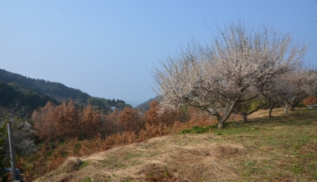 f:id:adayasu:20140202150342j:image:left