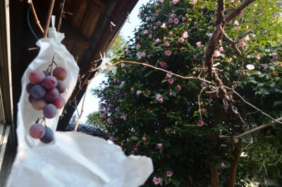 f:id:adayasu:20140221085644j:image:left