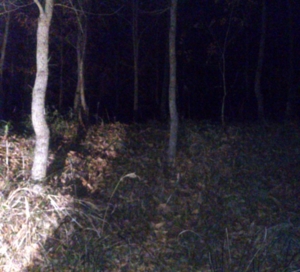 f:id:adayasu:20140308210002j:image:left
