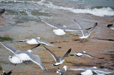 f:id:adayasu:20140314103540j:image:w600