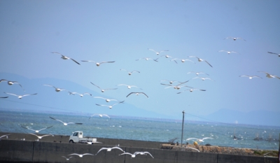 f:id:adayasu:20140314103602j:image:w600