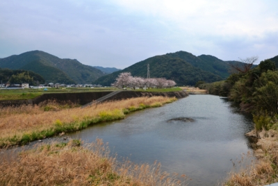 f:id:adayasu:20140325133335j:image:right