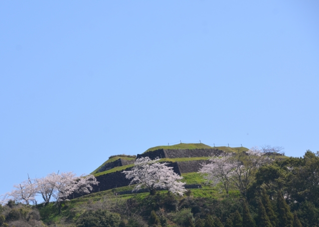 f:id:adayasu:20140327111352j:image