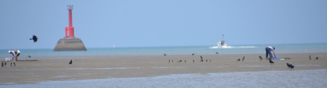 f:id:adayasu:20140613130843j:image