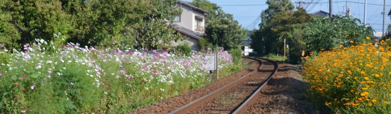 f:id:adayasu:20141003152822j:image