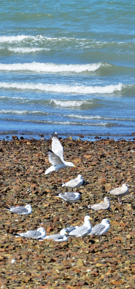 f:id:adayasu:20141023124454j:image:w400:left