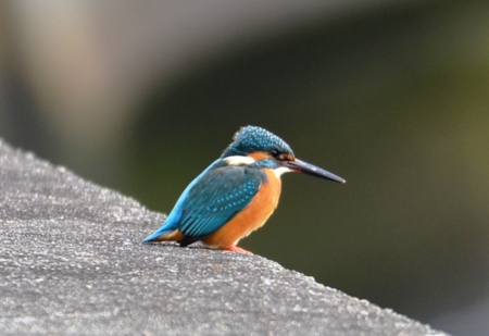 f:id:adayasu:20150113140415j:image:left